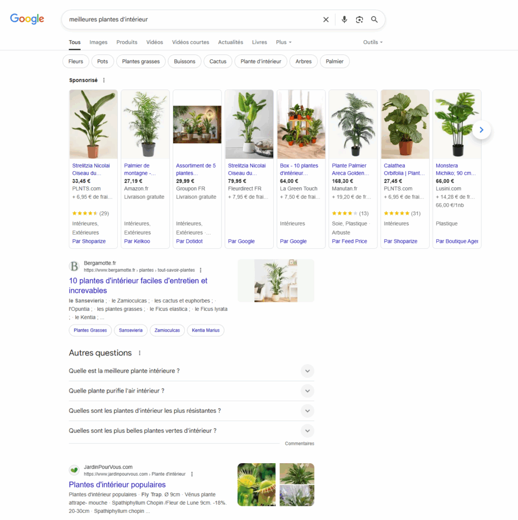 Exemple de SERP Google avec des résultats organiques